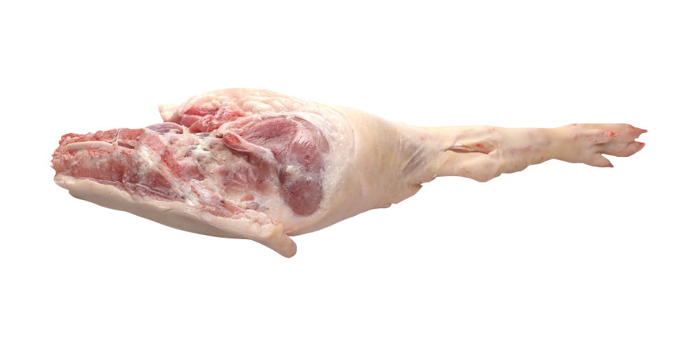 Pig Legs