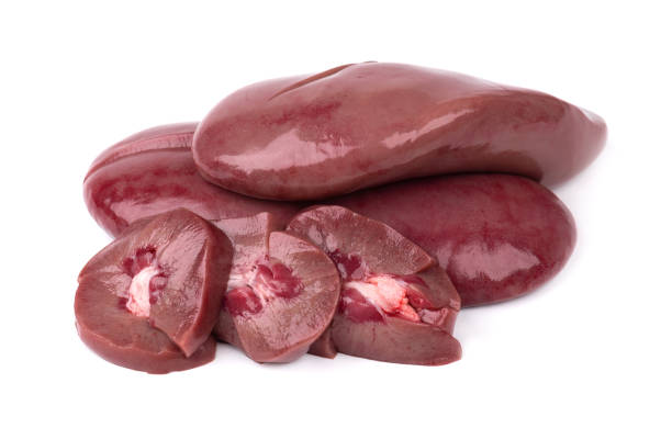Pig Kidney