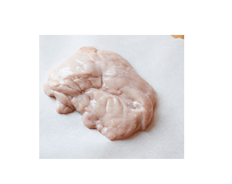 Pig Pancreas