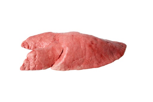 Pig Lung