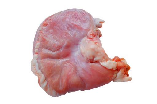 Pig Stomach